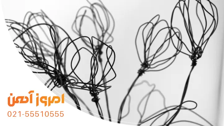 فرم دهی گیاهان به کمک مفتول سیاه انعطاف پذیر