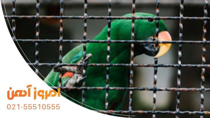 خرید توری پرسی برای قفس طیور